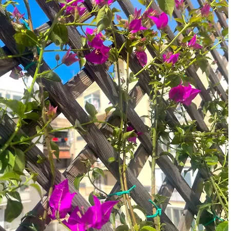 Letizia Centre Terrace Apartamento *